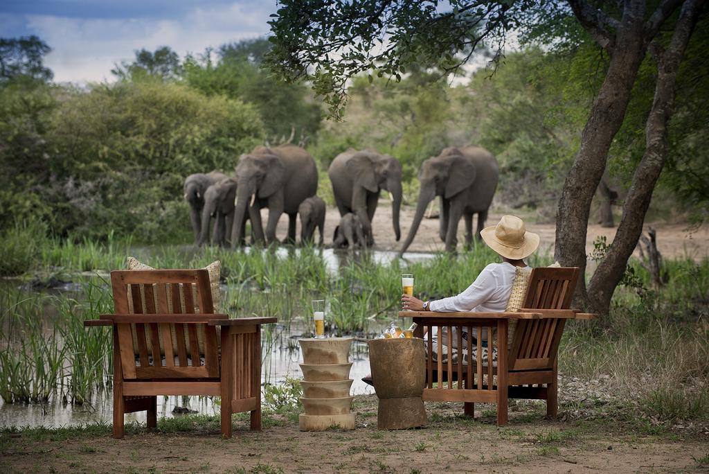Tanda Tula Safari Camp Villa Timbavati viltreservat Exteriör bild