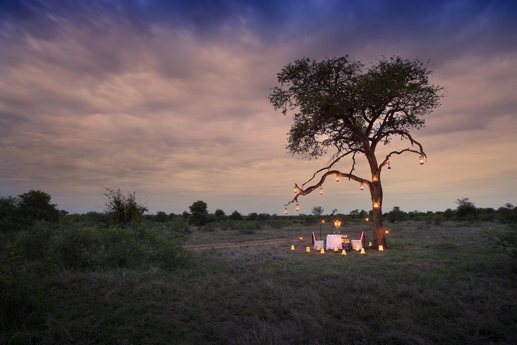 Tanda Tula Safari Camp Villa Timbavati viltreservat Exteriör bild