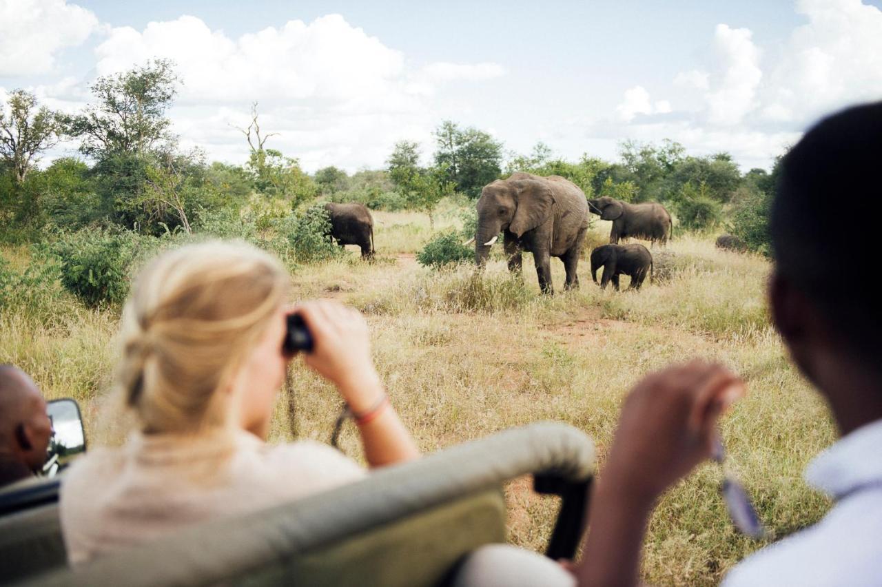 Tanda Tula Safari Camp Villa Timbavati viltreservat Exteriör bild