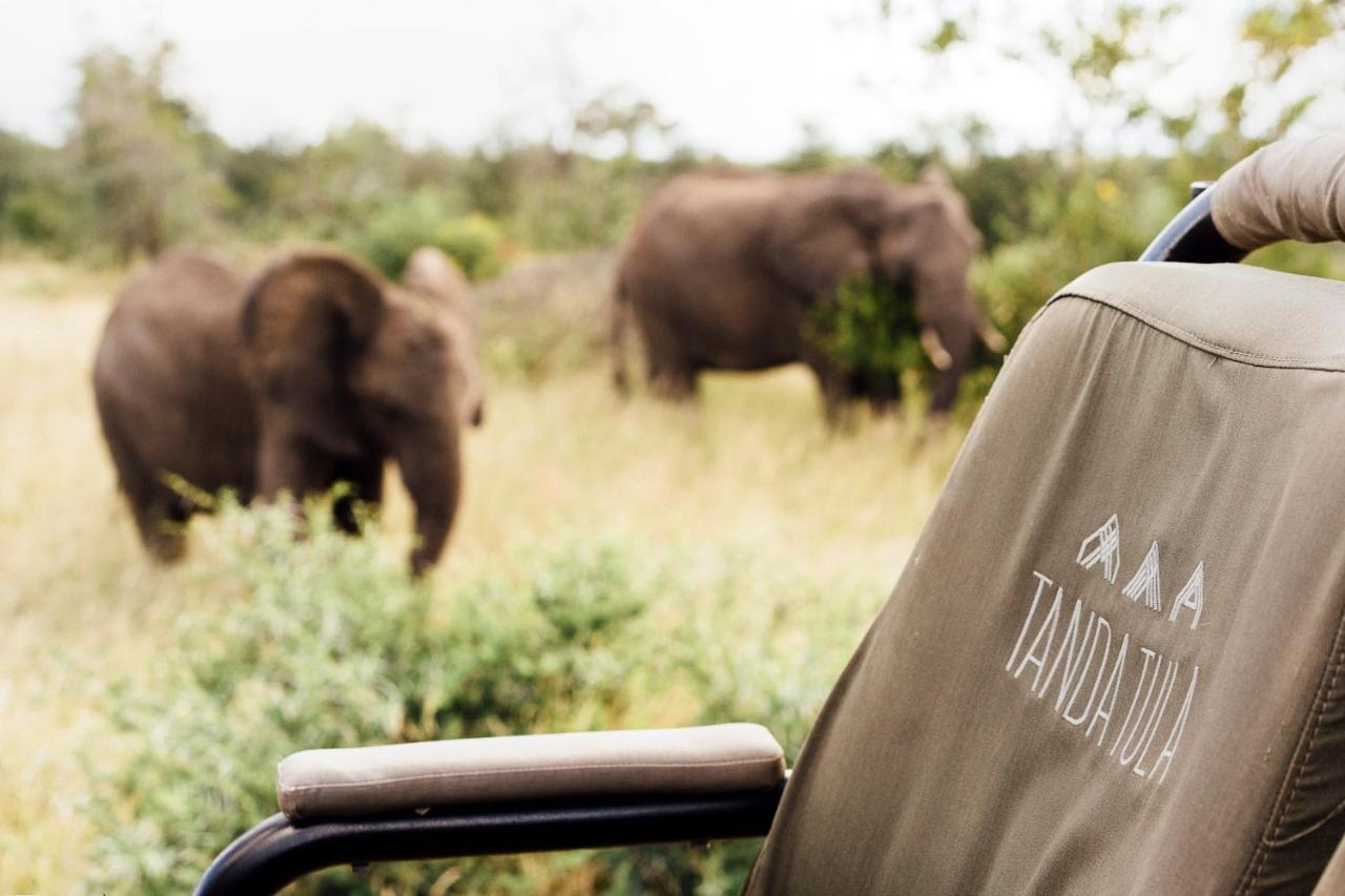 Tanda Tula Safari Camp Villa Timbavati viltreservat Exteriör bild